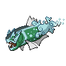 Basculegion (Hembra)