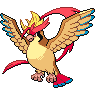 Mega-Pidgeot